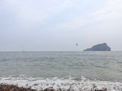 -棒棰岛宾馆景区
