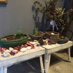 -Hertha Beauty Salon
