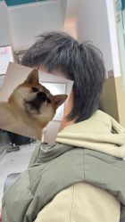 -ASG Hair Salon烫染·接发