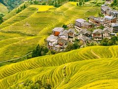-龙脊梯田