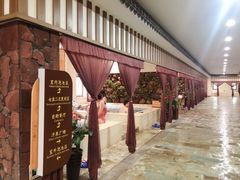 -将军石酒店温泉