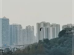 -重庆彩云湖湿地公园