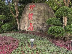 -野狸岛