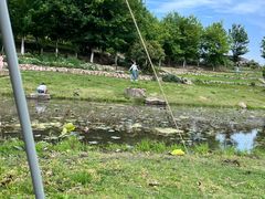 -滆湖低碳生态公园