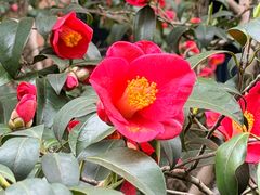 -浙江大学(玉泉校区)