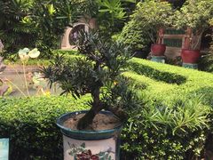 -东莞市可园博物馆