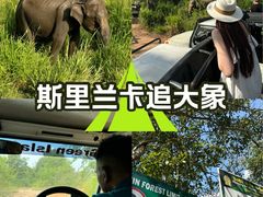 -米内日亚国家公园