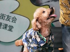 -重百超市(解放碑新华店)
