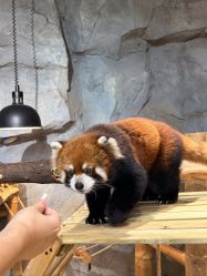 -Zoolung Zoolung动物主题公园(海信广场店)