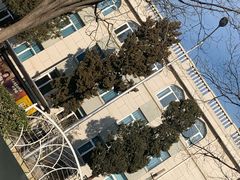 -中国伊斯兰教经学院