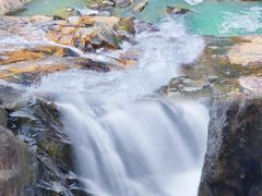 -广州白江湖森林公园