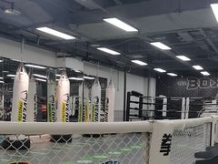 -拳力汇散打搏击泰拳俱乐部(绿地缤纷城店)