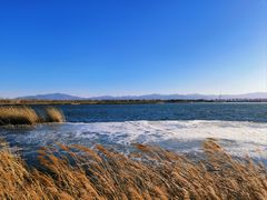 -野鸭湖国家湿地公园