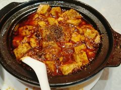 -陈麻婆豆腐总店