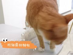 -Best U照相馆证件照·外拍(五角场店)