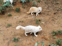 -云南野生动物园