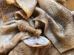 -岗上渣渣老火锅(两路口店)