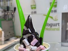 -Salud撒露欧洲冻酸奶(蓝色港湾店)