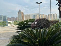 -金沙湖公园