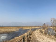 -野鸭湖国家湿地公园