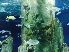 -福州罗源湾海洋世界旅游区