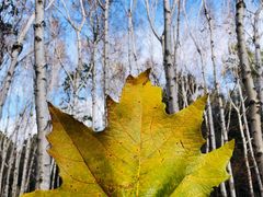 -长春市南湖公园