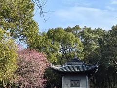 -兰亭风景区