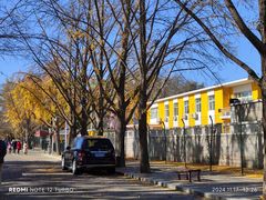 -三里屯东五街银杏大道