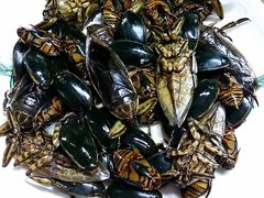 -莫华(锦绣趣园北街店)