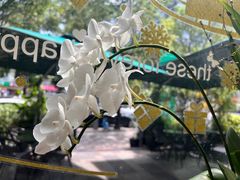 -街角 T·COFFEE 融合料理·BISTRO(车公庙店)