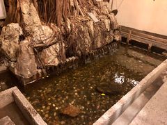 -文儒九号·闽菜馆(三坊七巷店)