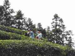 -浙江西子宾馆·牡丹厅
