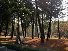 -广州雕塑公园