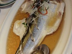 -老洋房花园饭店(绍兴路店)