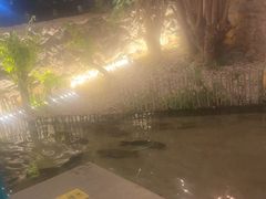 -大理老字号·舟渔的鱼野生菌海景餐厅(双廊店)