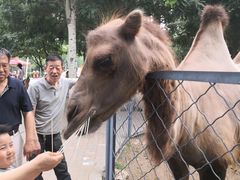 -长白岛森林公园