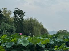 -云龙湖旅游景区