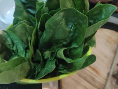 -三里屯土灶炖公鸡地锅鸡(江东店)