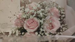 -海茱雅科技健康美容