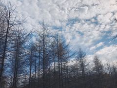 -秦岭风景区