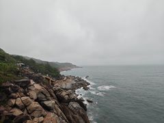 -广东惠东海龟国家级自然保护区