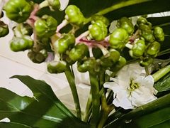 -花点时间(蓝色港湾店)