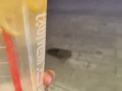 -蜜雪冰城(大智路店)