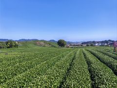 -星聚会KTV X Party(万象城店)