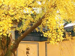 -无锡惠山寺