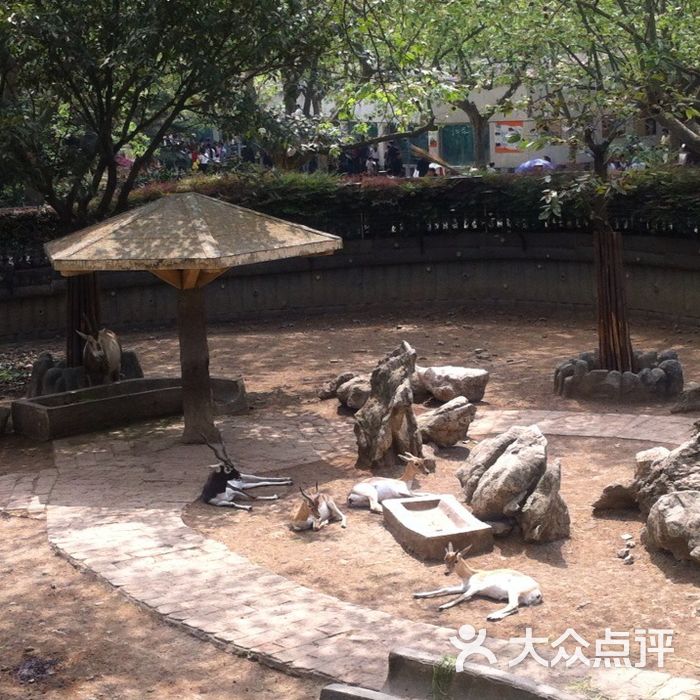 成都動物園