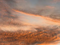 -麦哲伦丝绸度假村