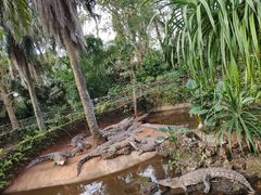 -海南热带野生动植物园