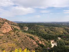 -红山国家森林公园