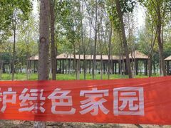 -西青郊野公园